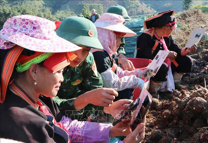 Cán bộ, chiến sĩ Đồn Biên phòng cửa khẩu Ma Lù Thàng (Lai Châu) đến tận nương hướng dẫn người dân kỹ năng số tại bản Hùng Pèng, xã Phong Thổ. Ảnh: Nguyễn Oanh - TTXVN